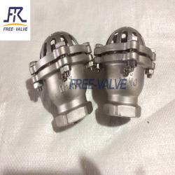 Stainless Steel Water Pump Pn10 Foot Valve,Screw Thread End Stainless Steel Foot Valve 