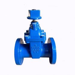 516-f ANSI resillient gate valve NRS