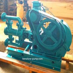 WBR high temperature electric reciprocating pump