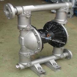 RW Stainless steel air powered diaphragm pump