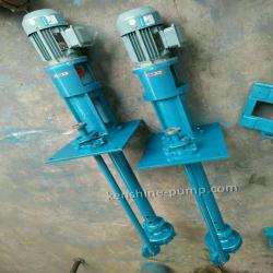 FYB Stainless steel vertical submerged pump