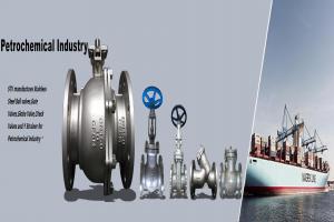 STV Valve Technology Group Co., Ltd