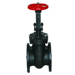 Cast Iron Gate Valve