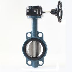 Wafer Worm Gear EPDM Seat Butterfly Valve