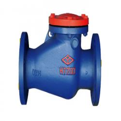 Cast Iron Check Valve