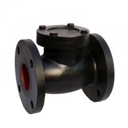 Cast Iron Swing Check Valve 