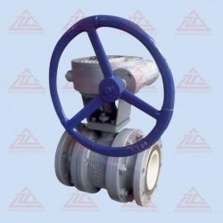 Worm Ceramic Ball Valve